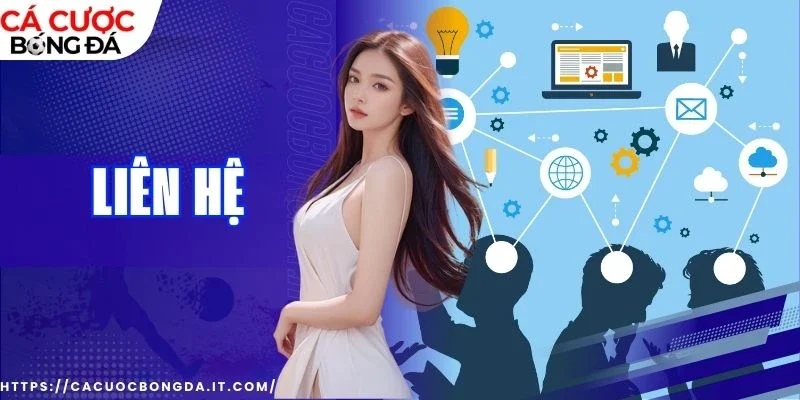 liên hệ